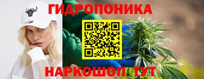 не бодяженный Камышлов