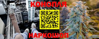тгк Канаш