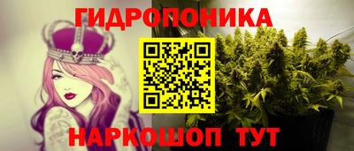молекула духа Кандалакша
